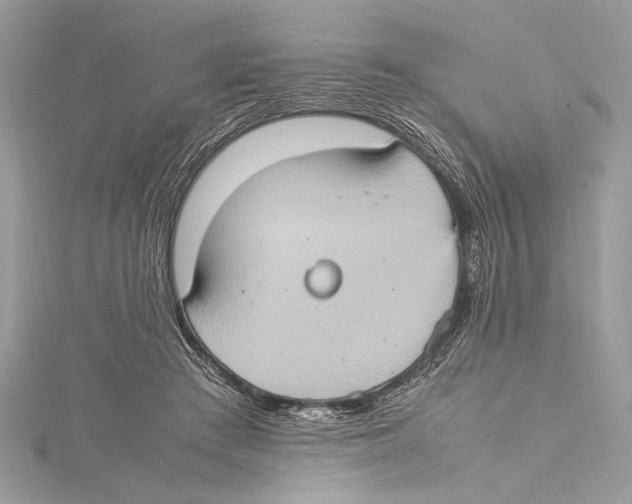 X0000115560409200912041057