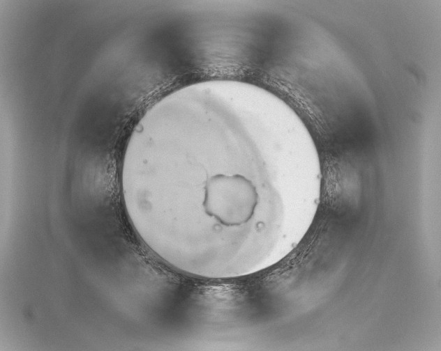 X0000115560411200912041057