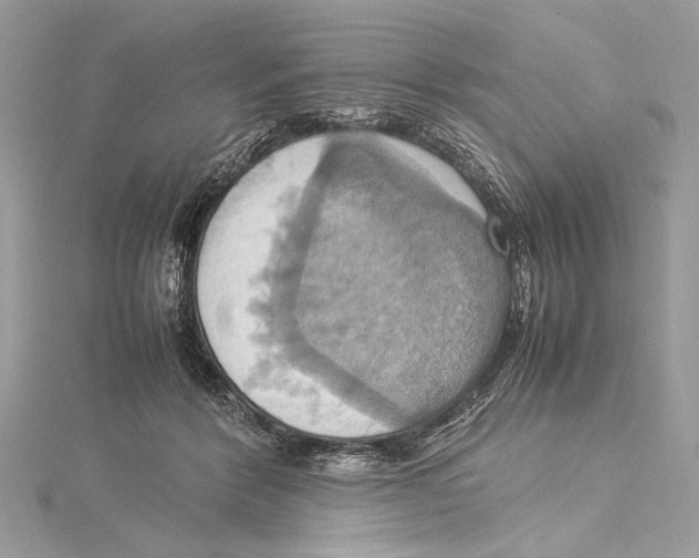 X0000115560412200912041057