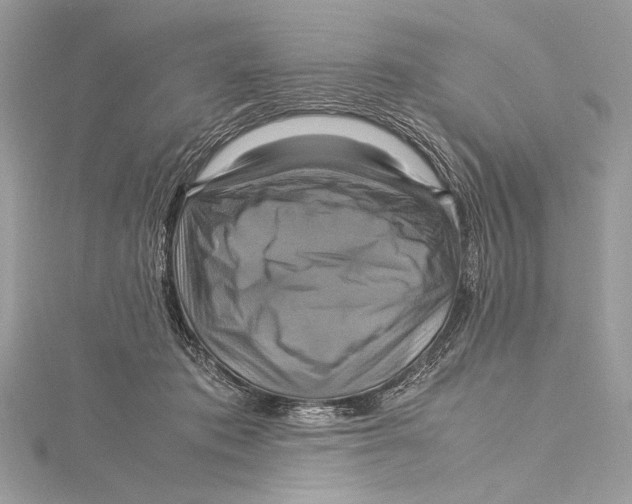 X0000115560413200912041057