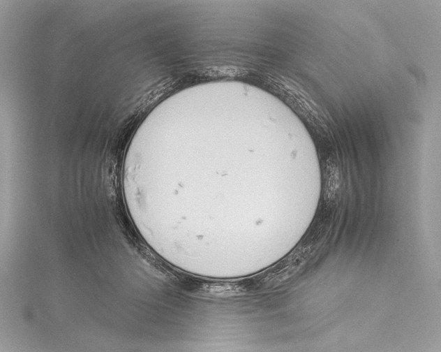 X0000115560414200912041057