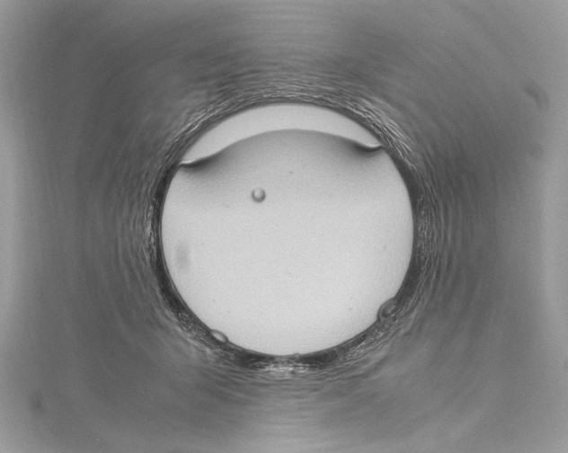 X0000115560415200912041057