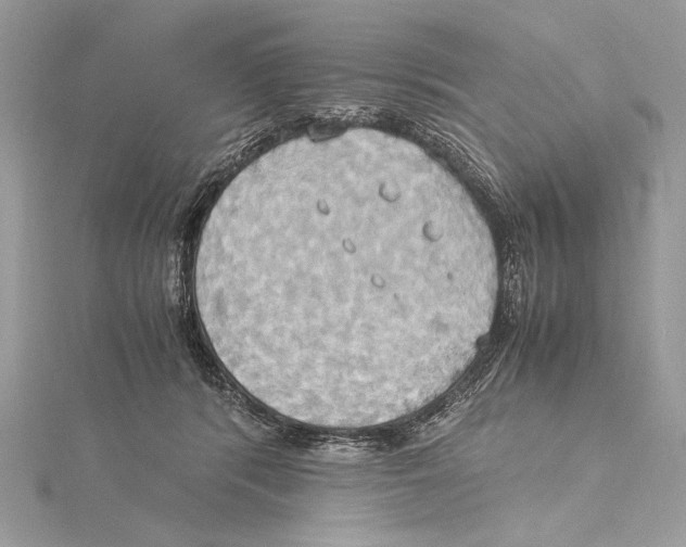 X0000115560416200912041057