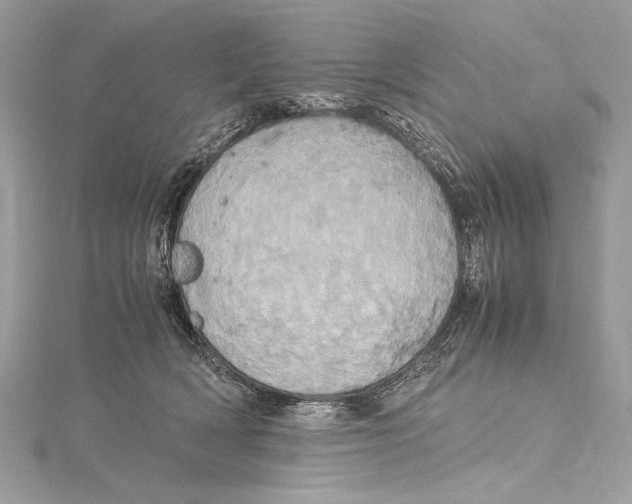 X0000115560418200912041057