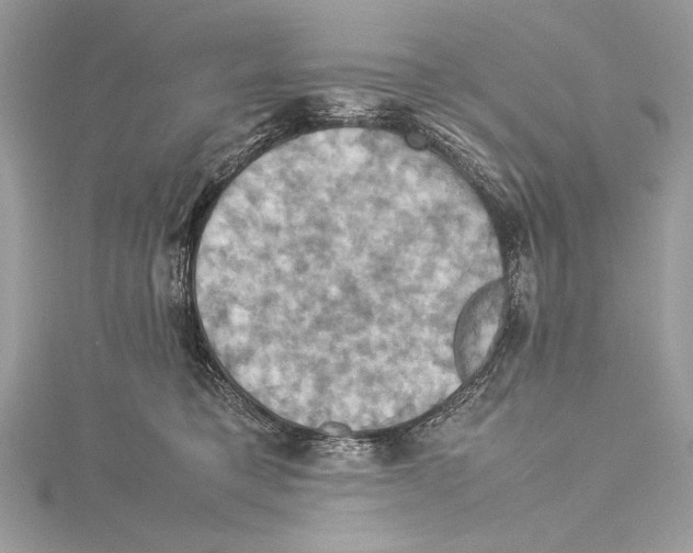 X0000115560421200912041057