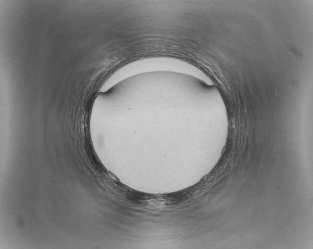 X0000115560423200912041057