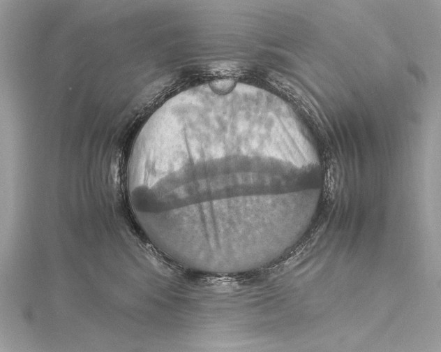 X0000115560424200912041057