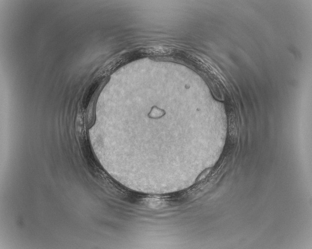 X0000115560425200912041057