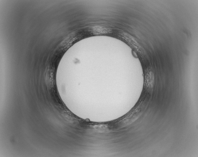 X0000115560426200912041057