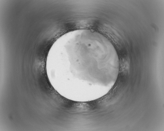 X0000115560427200912041057