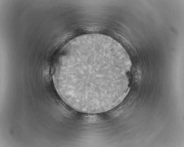 X0000115560428200912041057