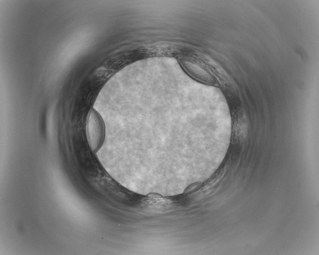 X0000115560429200912041057