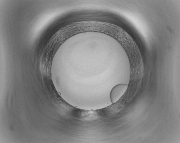 X0000115560431200912041057