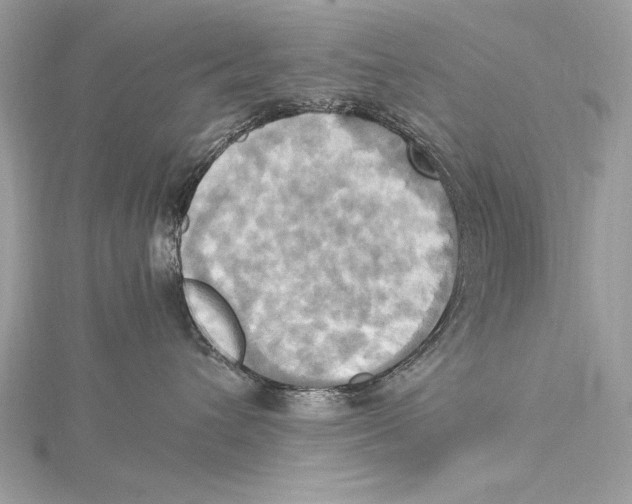 X0000115560432200912041057