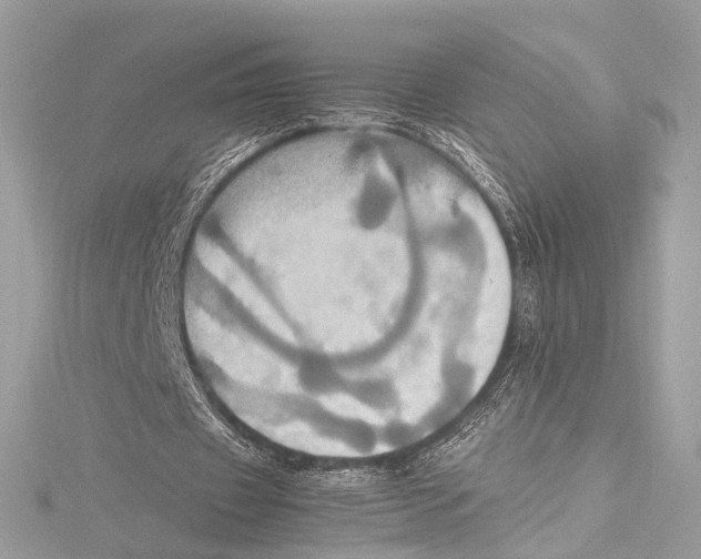 X0000115560433200912041056