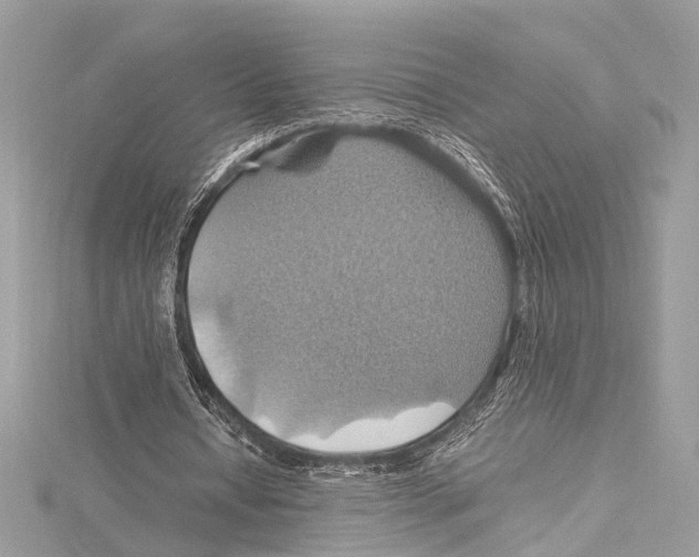 X0000115560434200912041056