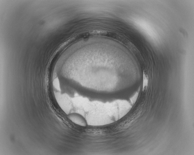 X0000115560435200912041056