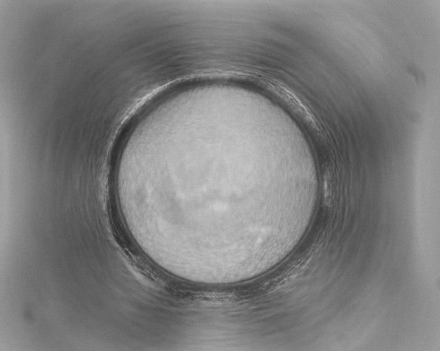 X0000115560436200912041056