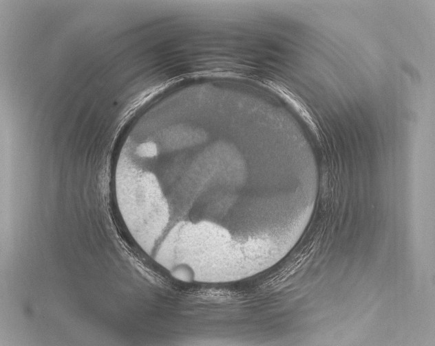 X0000115560437200912041056