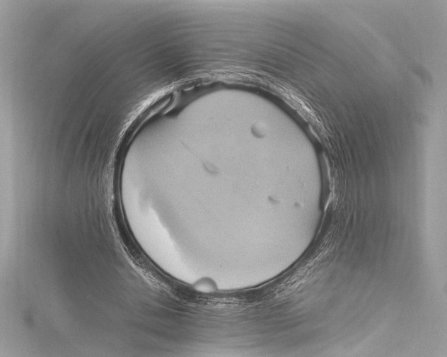 X0000115560438200912041056