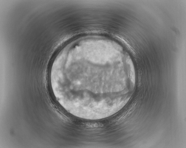 X0000115560439200912041056