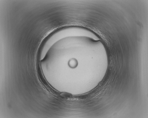 X0000115560440200912041056