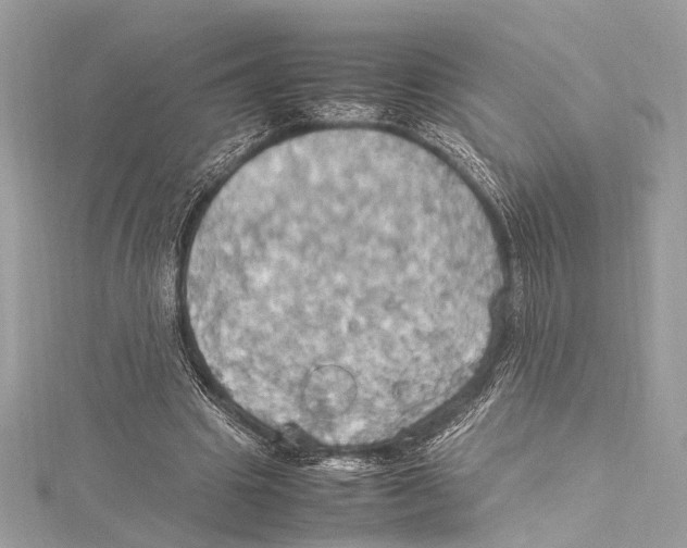 X0000115560441200912041056