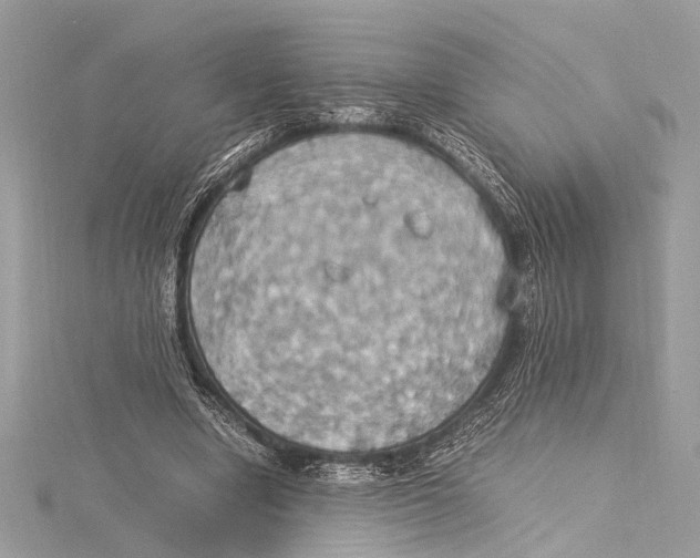 X0000115560442200912041056