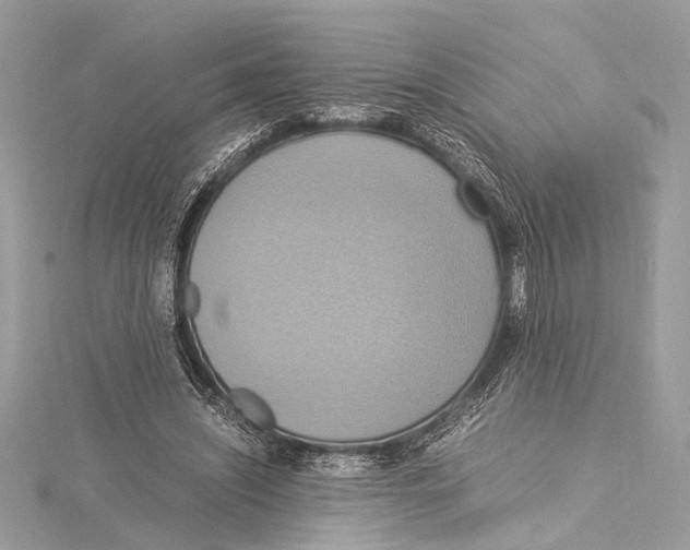 X0000115560444200912041056