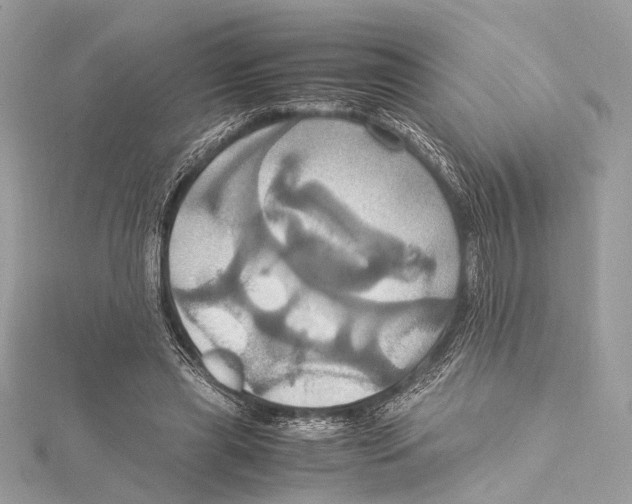 X0000115560445200912041056