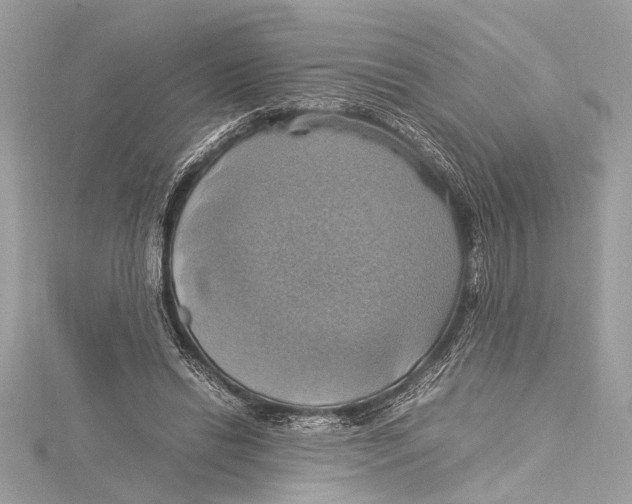 X0000115560446200912041056