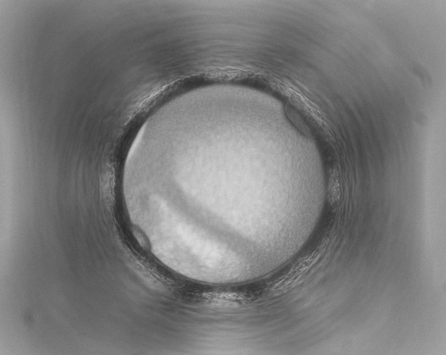 X0000115560448200912041056