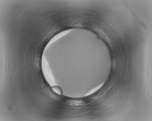 X0000115560449200912041056