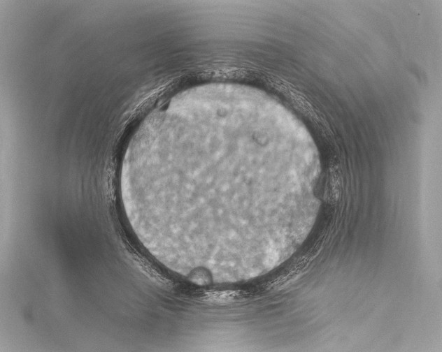 X0000115560450200912041056