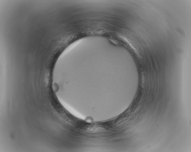 X0000115560451200912041056