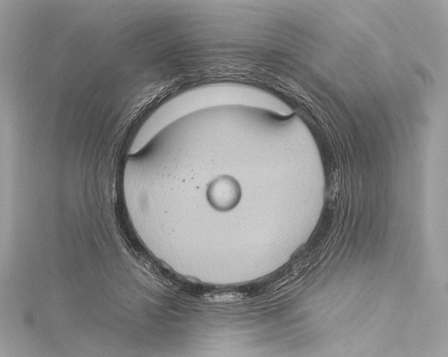 X0000115560452200912041056