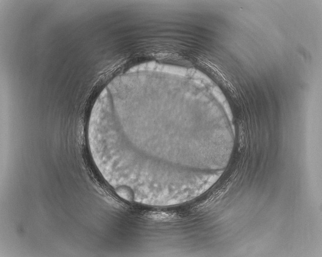 X0000115560453200912041056