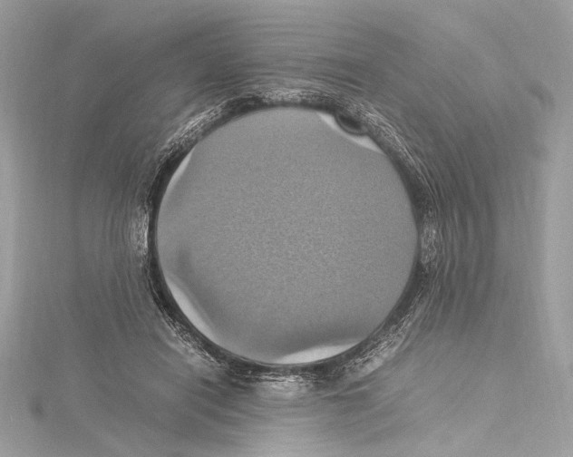 X0000115560454200912041056