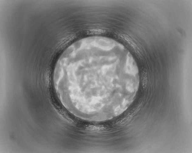 X0000115560455200912041056