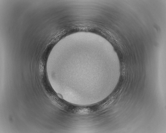 X0000115560456200912041056