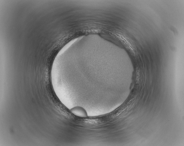 X0000115560457200912041056