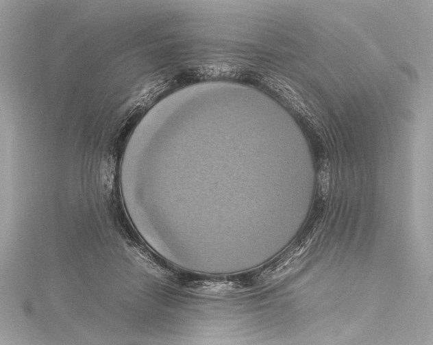 X0000115560458200912041056