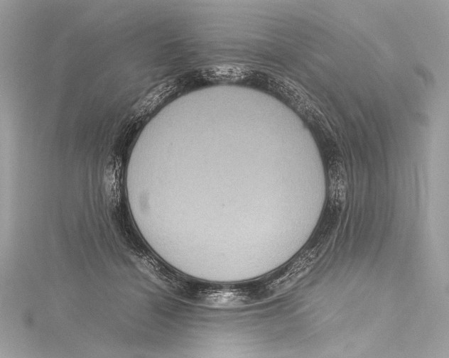 X0000115560460200912041057