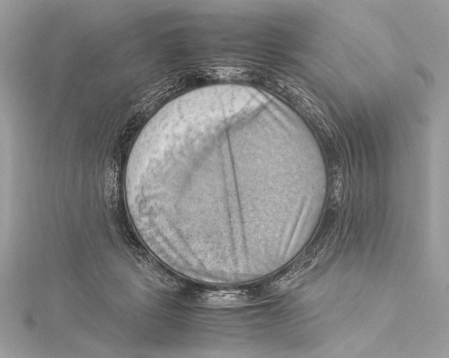 X0000115560461200912041057