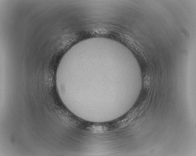 X0000115560464200912041057