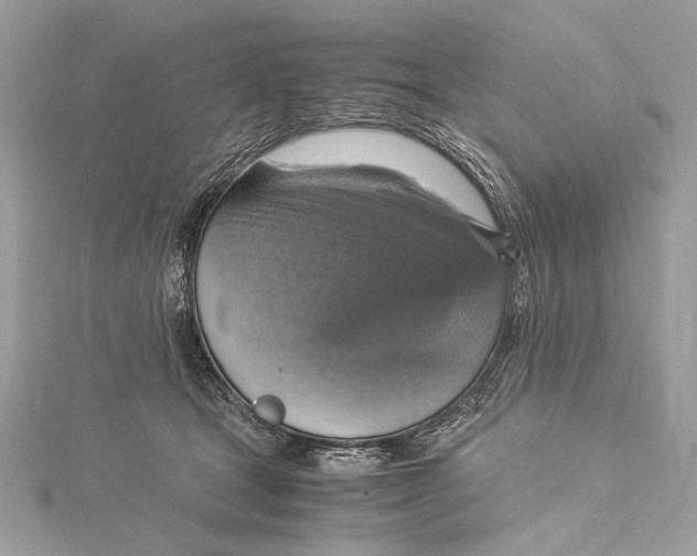 X0000115560465200912041057