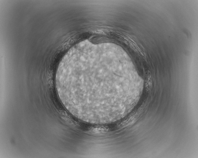 X0000115560466200912041057