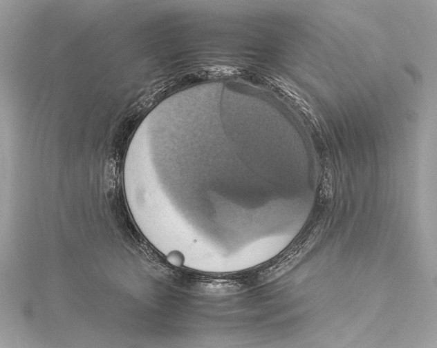 X0000115560467200912041057