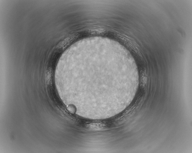 X0000115560468200912041057