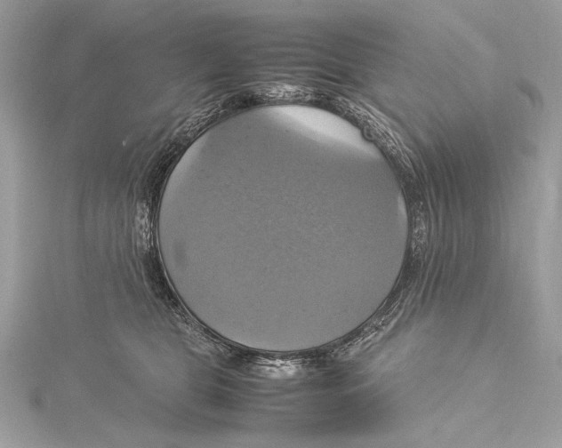 X0000115560469200912041057